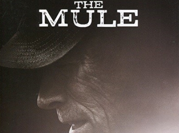 The mule