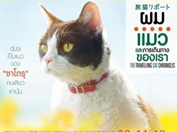 The travelling cat chronicles