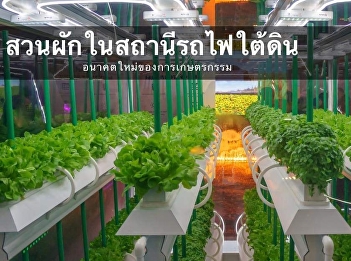 Subway Vegetable Garden: The Future of
Farmers