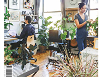 7 Pet-Friendly Indoor Air Purifying
Plants