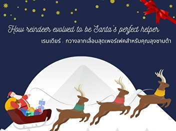 Reindeer: A sleigh for Uncle Santa.