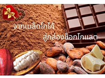 From cocoa beans to boxes of chocolates