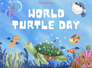 23 พฤษภาคม : World Turtle Day