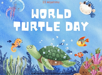 23 May : World Turtle Day