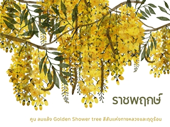 Ratchaphruek: the golden shower tree,
the color of the highway and summertime.