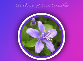 The Academic Resource Center is honored
to welcome new students for the academic
year 2023.