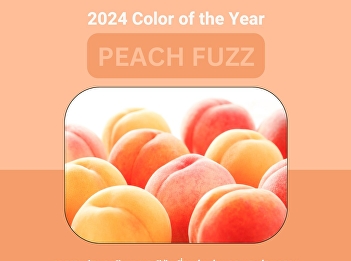 Peach Fuzz, Pantone's color of the year
2024.