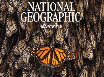 5 benefits of music that creates balance
for children