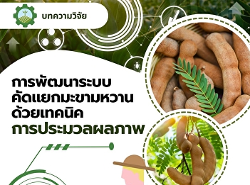 Development of Sweet Tamarind Sorting
System by Image Processing Technique