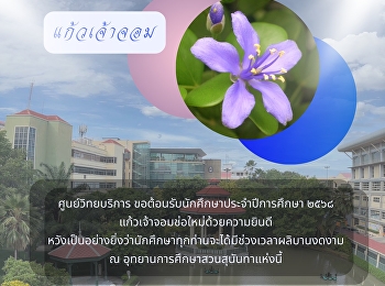 แก้วเจ้าจอม
ดอกไม้ประจำมหาวิทยาลัยราชภัฏสวนสุนันทา