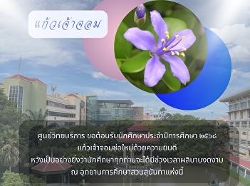 Kaew Chao Chom (Lignum vitae), the
flower of Suan Sunandha Rajabhat
University.