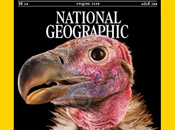 Presenting content about Hidden Talents
of the Appearance-Deprived Animals Many
animals suffer from poor looks, but
these characteristics can also be their
superpowers.