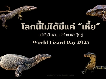World Lizard Day เพราะโลกนี้ไม่ได้มีแค่
“เหี้ย”