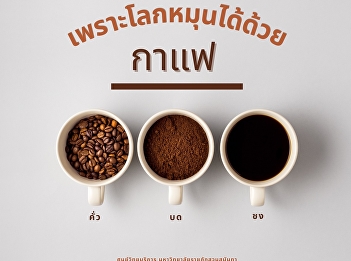 Coffee is a beverage prepared from the
coffee plant's beans.