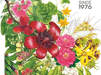 Presenting content about Beautiful House
and abundant Decoration, new angle: You
Issara Private Villa, a moment of
relaxation in the embrace of nature