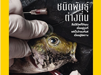 Presenting content about Invasive
Species as Humans Invade Our Home The
spread of the tilapia is a costly lesson
in ecological and biodiversity loss.