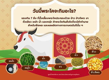วันนี้พระโคจะกินอะไร?
