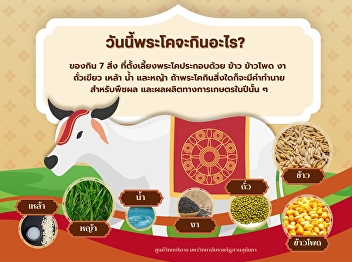 The Royal Ploughing Ceremony marks the
most significant ritual of the year as
Thailand enters the new agricultural
season.