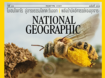 Presenting content about The Ingenious
Power of Nature's Most Brilliant
Thinkers Scientists are discovering more
and more evidence of the astonishing
intelligence of bees.