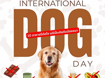 Did you know some of our favorite human
treats can be dangerous for our furry
friends?